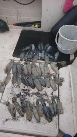 ボートキャスティングエギング