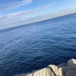 体力なくて情けない