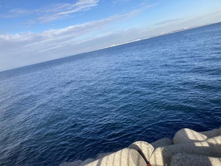 体力なくて情けない