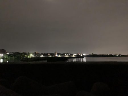 秋アオリイカ②