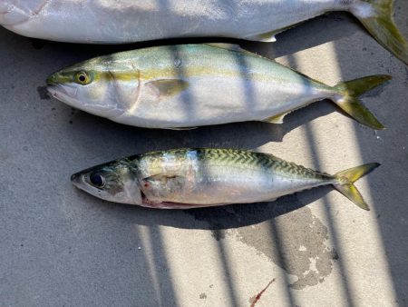 ジギングも終盤に