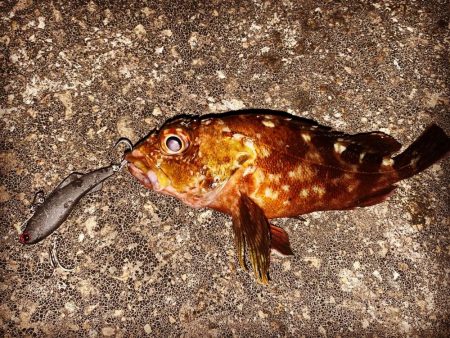 1時間ナイトゲーム