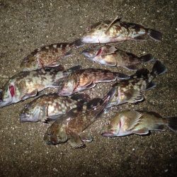 武庫一でライトワインド！