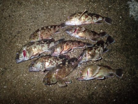 武庫一でライトワインド！