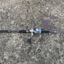 泉佐野一文字 青物爆釣