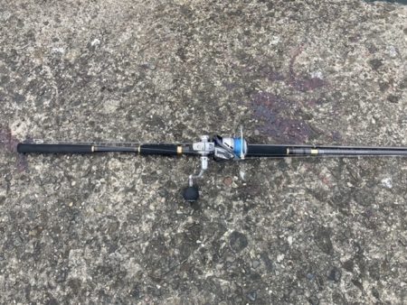 泉佐野一文字 青物爆釣