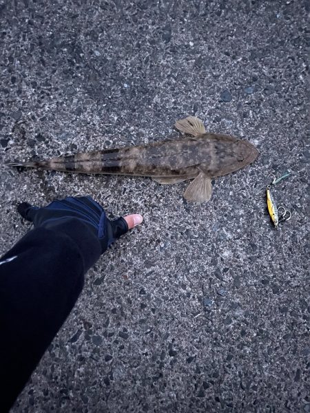 ルアーでカンパチ