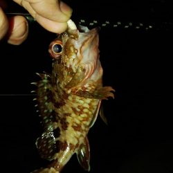 フロートゲーム～