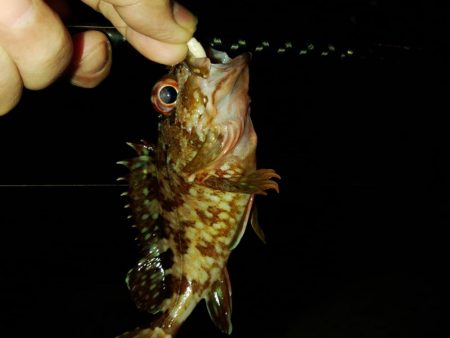 フロートゲーム～