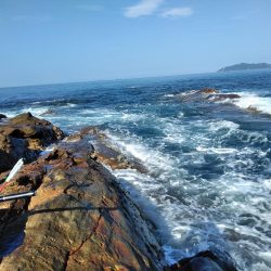 フカセ‥最高ですネ・・モーニングサービス・・