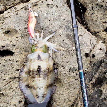 なかなか活性低いです