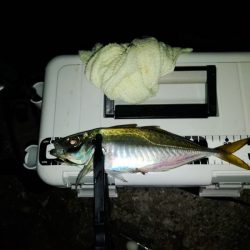 フロートゲーム～