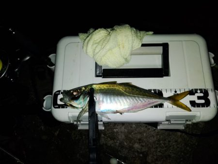 フロートゲーム～