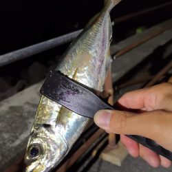 潮攻略！！？？