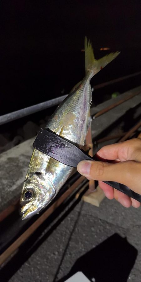 潮攻略！！？？