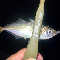 軽量ジグヘッドの着底の取り方