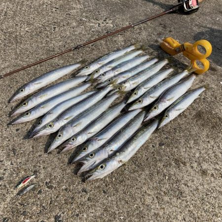 A.P.Pフィッシングガイドサービス　ポイ…