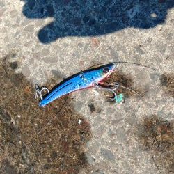 自己記録更新です!!