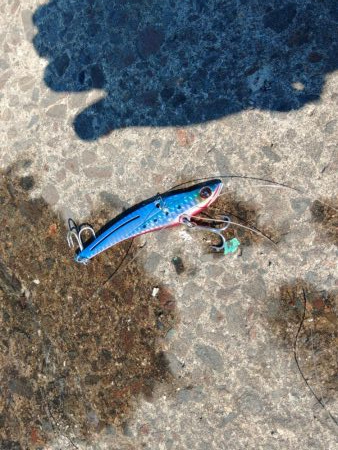 自己記録更新です!!