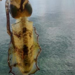 台風真っ只中まさかの?