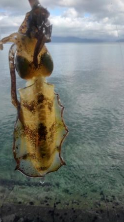 台風真っ只中まさかの?