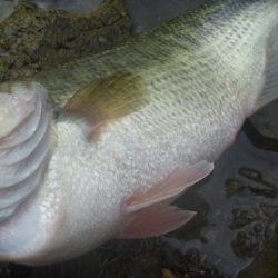 雨の降り初めに