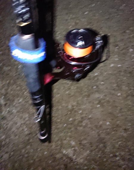 ネオブラ初フィッシュ！