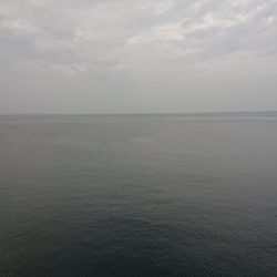 青物調査のハズが?