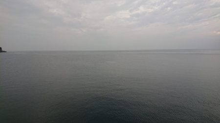 青物調査のハズが?