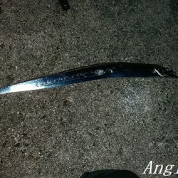 激シブタチウオ釣行