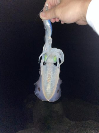 今日、風吹く予報?