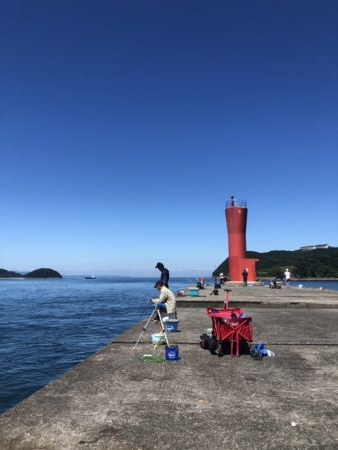 本命が釣れない