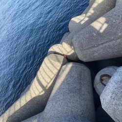 体力なくて情けない