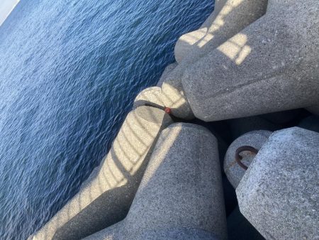 体力なくて情けない