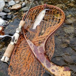 メテオーラ52の日でした。