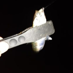 ライトゲーム45