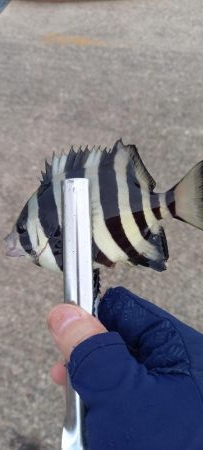 学生時代の仲間と