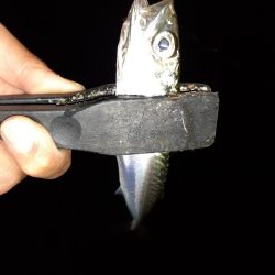 ライトゲーム46