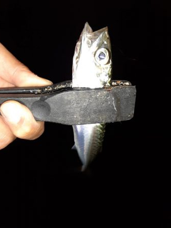 ライトゲーム46