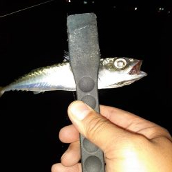 ライトゲーム47