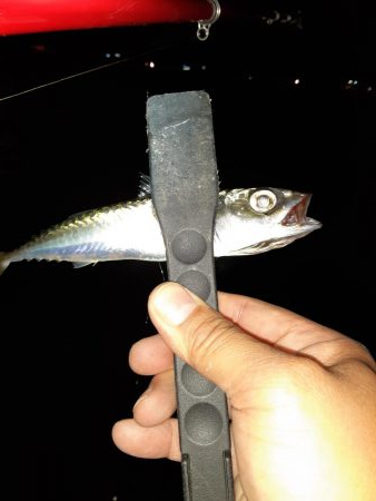 ライトゲーム47