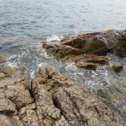 今日はヒラ祭り