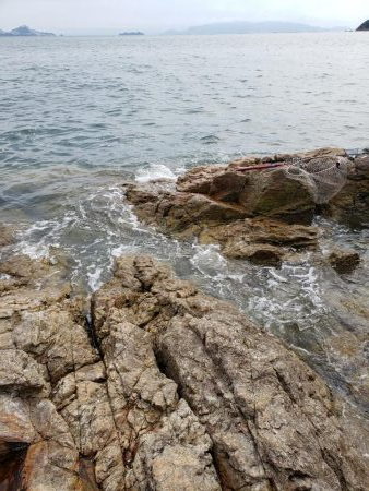 今日はヒラ祭り