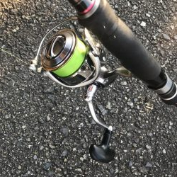 朝マズメの太刀魚釣り