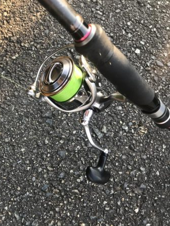 朝マズメの太刀魚釣り