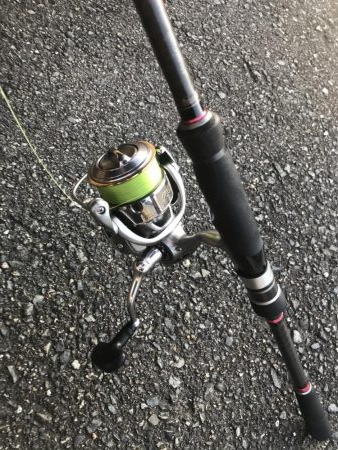 朝マズメの太刀魚釣り