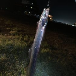 令和3年度 開幕