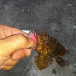 安定のガシリング