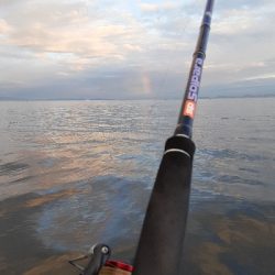 ついに今期初タチウオ