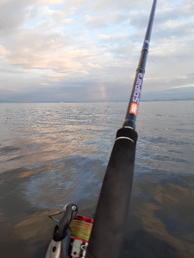 ついに今期初タチウオ